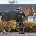 Couverture Fleece Lemieux Oak